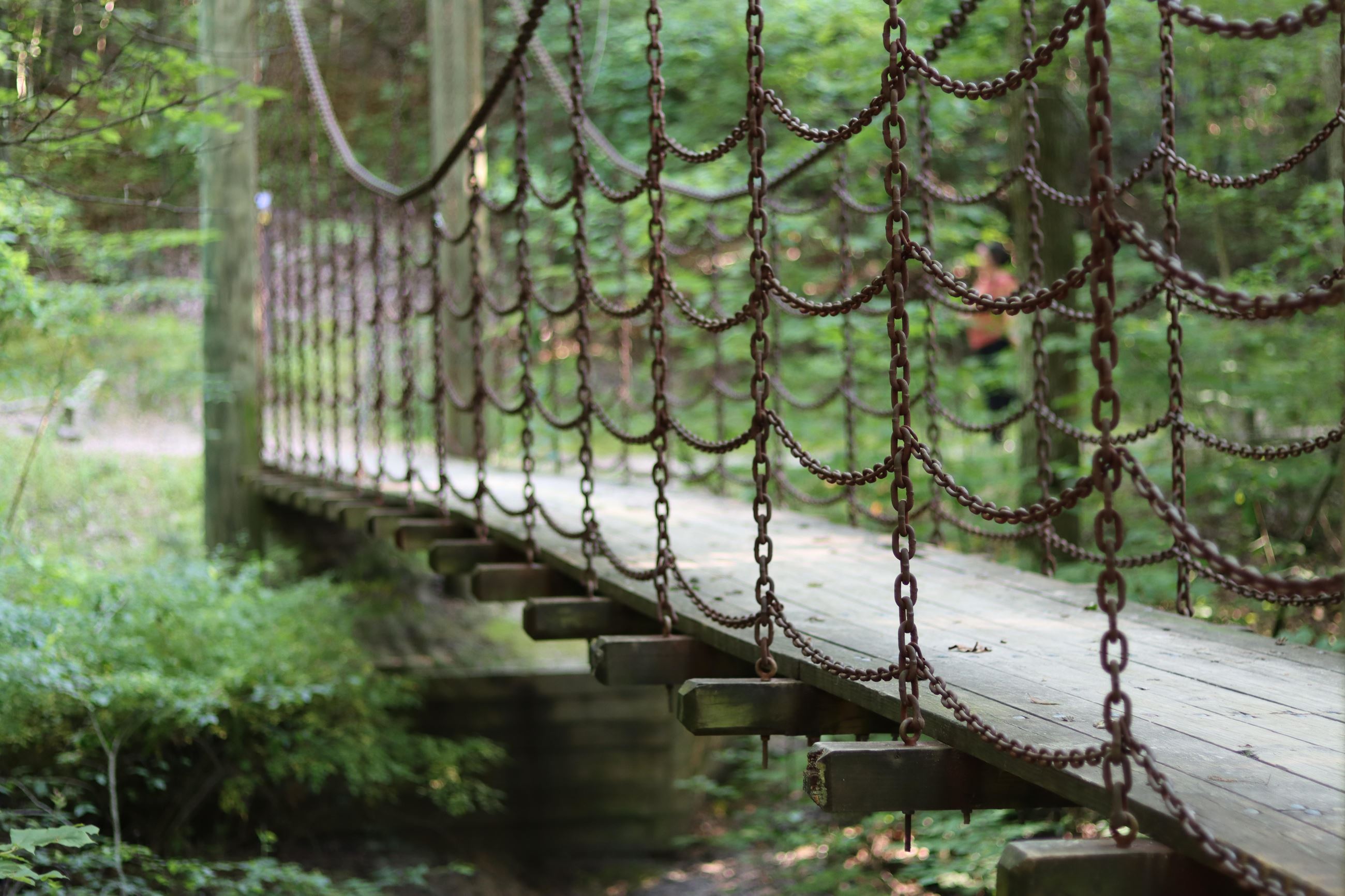 Crowleys Ridge State Park