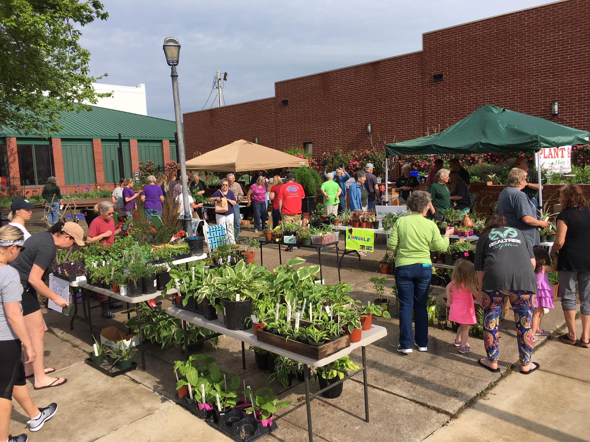 plant sale!
